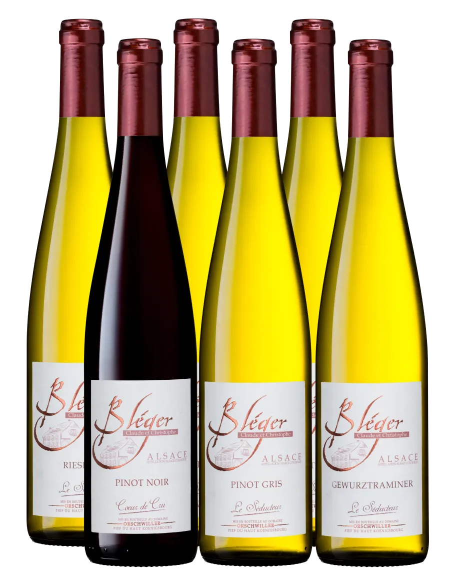 colis-vin-alsace-degustation-bleger-1 (1) Colis de vin d'Alsace - Dégustation Bléger