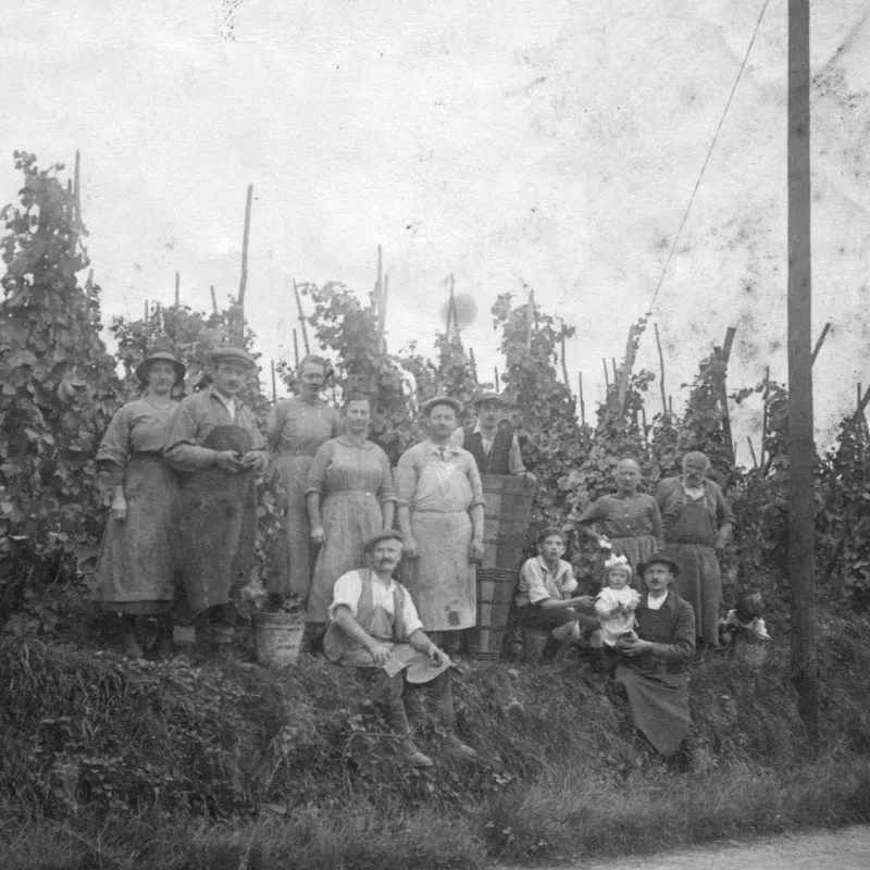 Famille-Bleger-Vente-de-vins-bio-dAlsace
