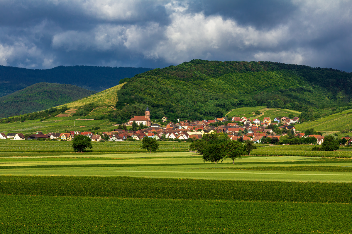 vignerons-vin-alsace-bio Vignerons vin d'Alsace BIO - Domaine Claude et Christophe Bléger