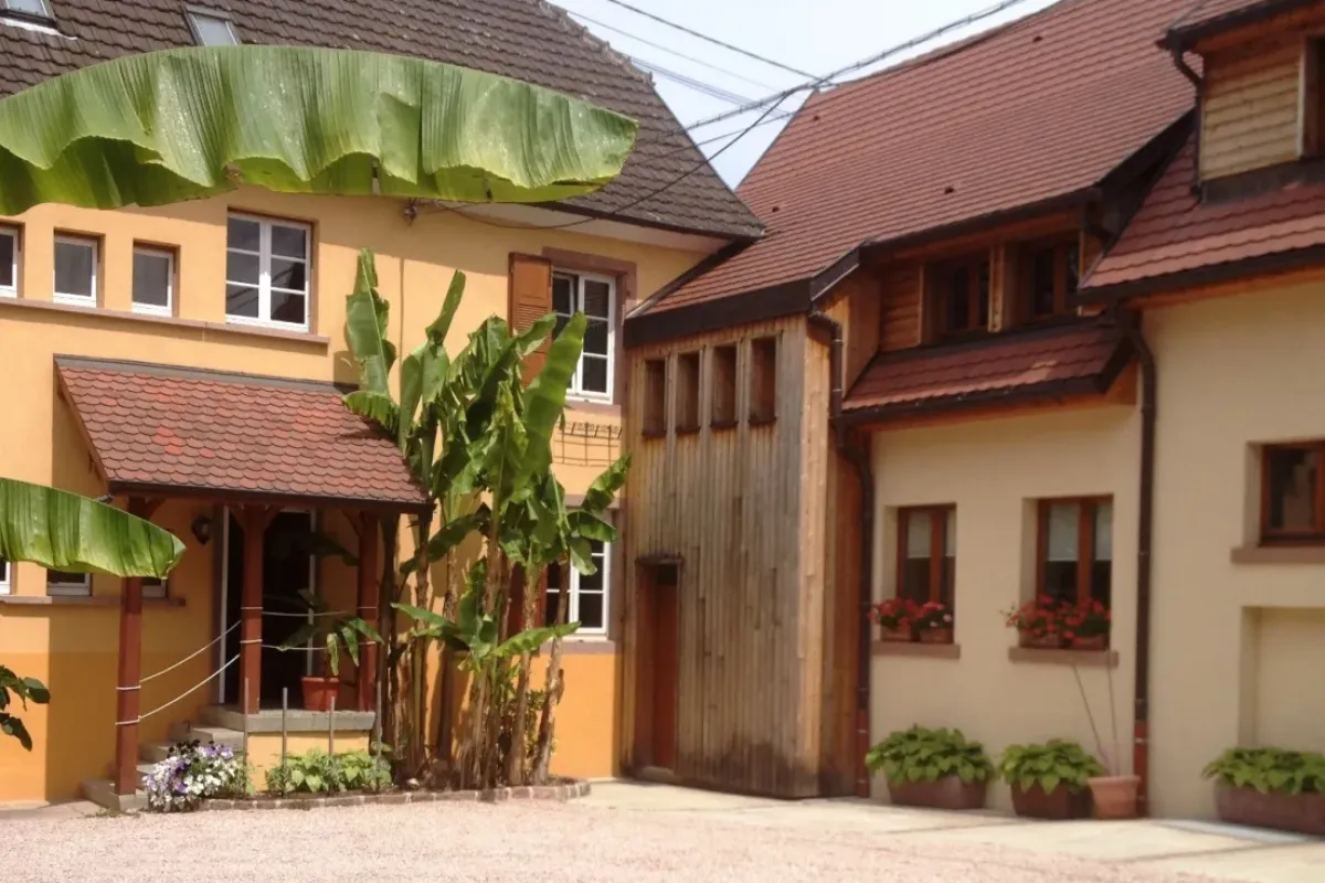location-de-gites-en-alsace-Domaine-Bleger- vin rouge rosé et orange d'Alsace